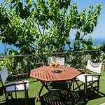 Apartment Aloni &