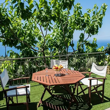 Apartment Aloni &